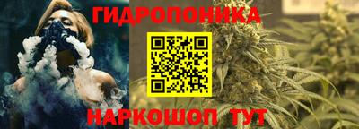 ECSTASY Гатчина