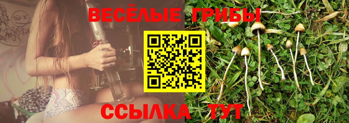 Малгобек  Галлюциногенные грибы Psilocybe  Галлюциногенные грибы мицелий  что такое   Вход с VPN 